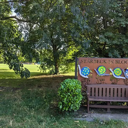 Starbeck Serviced דירה